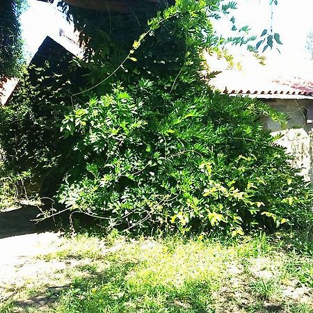 Quinta De Abol De Baixo 호텔 Entre-os-Rios 외부 사진
