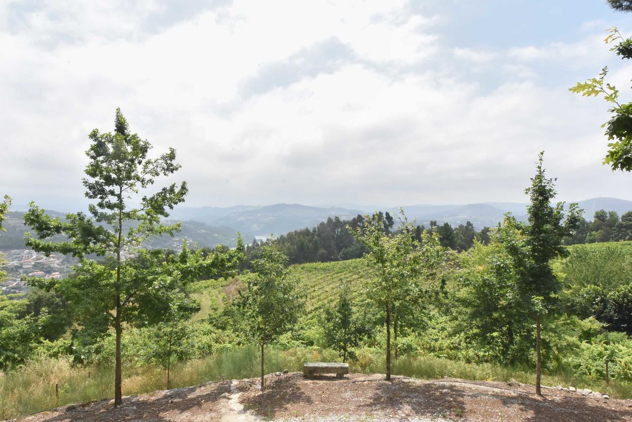Quinta De Abol De Baixo 호텔 Entre-os-Rios 외부 사진