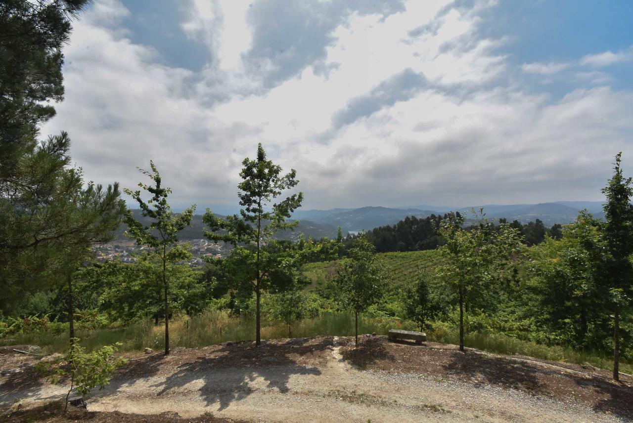 Quinta De Abol De Baixo 호텔 Entre-os-Rios 외부 사진